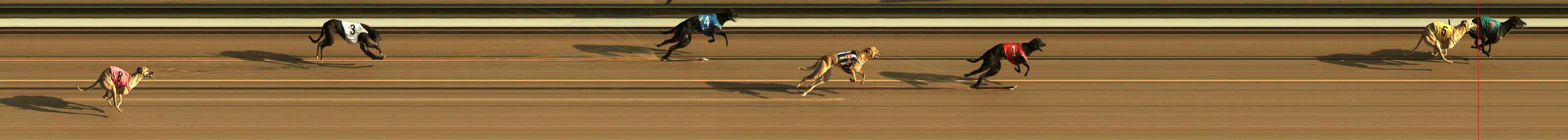 Race result finish photo